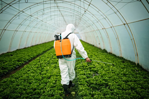 Best Pest Control for Restaurants  in Hialeah Gardens, FL