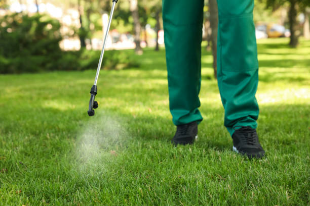 Best Residential Pest Control  in Hialeah Gardens, FL