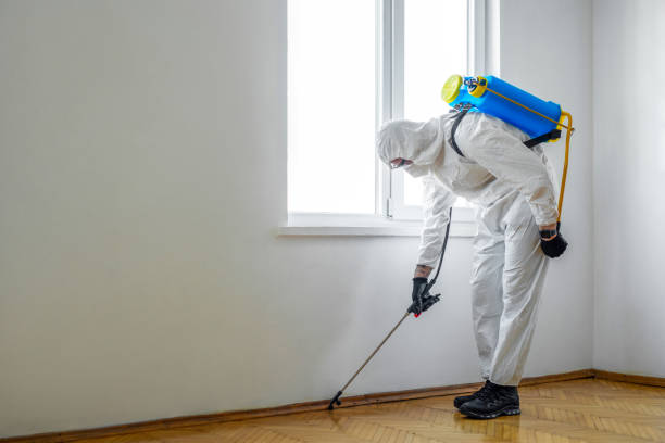 Best Mosquito Control Services  in Hialeah Gardens, FL