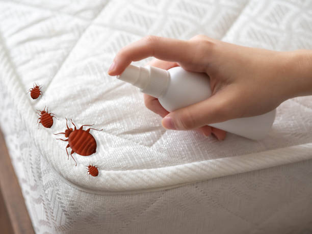 Best Bed Bug Extermination  in Hialeah Gardens, FL