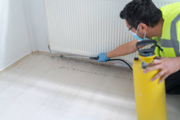 Best Pest Prevention Services  in Hialeah Gardens, FL
