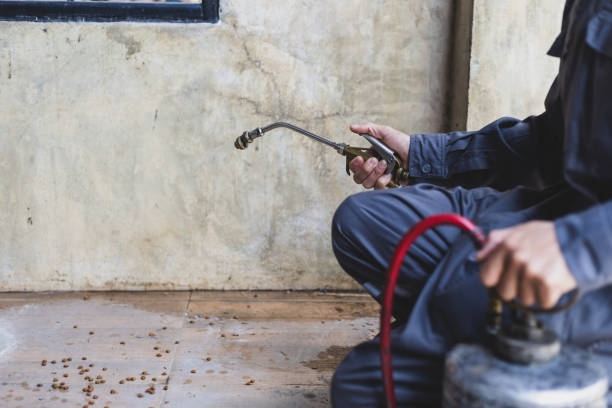 Best Pest Control Near Me  in Hialeah Gardens, FL